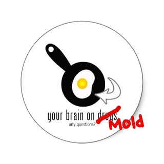 This is Your Brain on Mold – Any Questions?